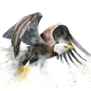 Flying American Eagle
