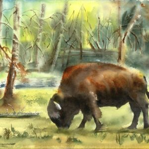 Bison in the Forest