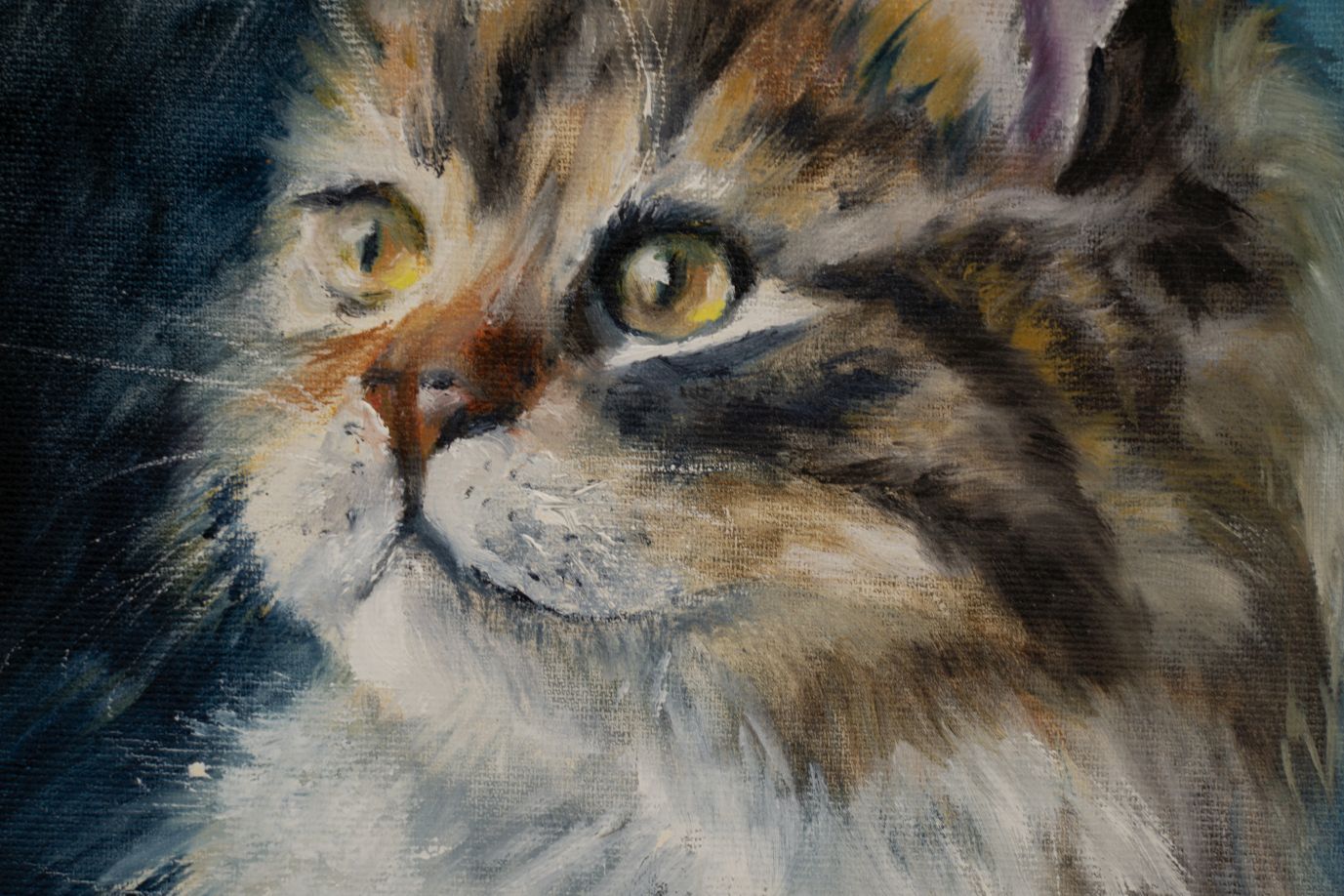 Majestic Longhair Cat - Image 2