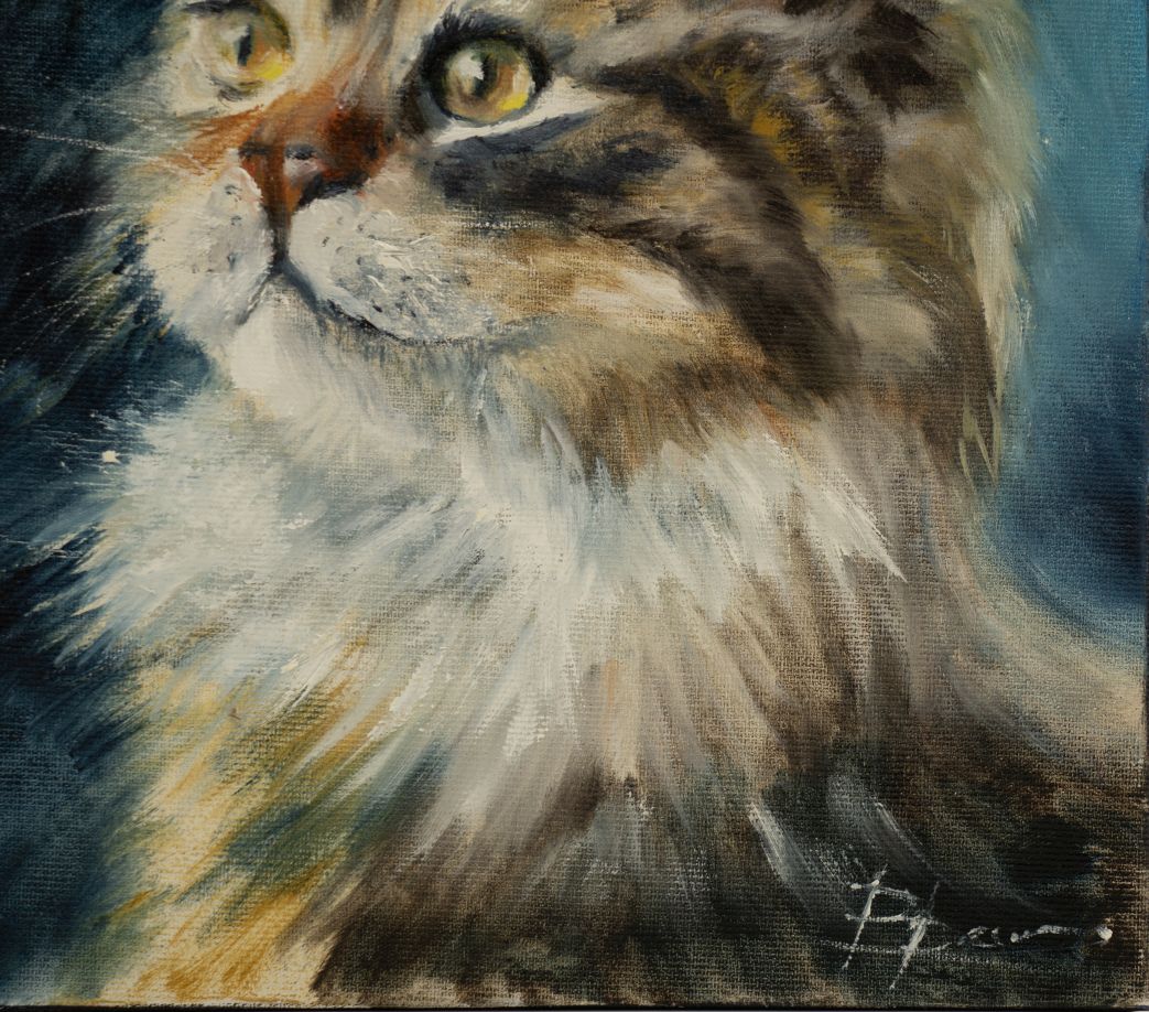 Majestic Longhair Cat - Image 3