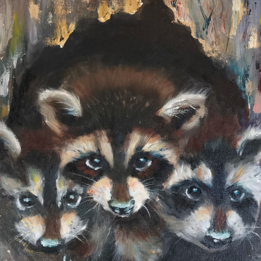 Raccoon Family - Image 2