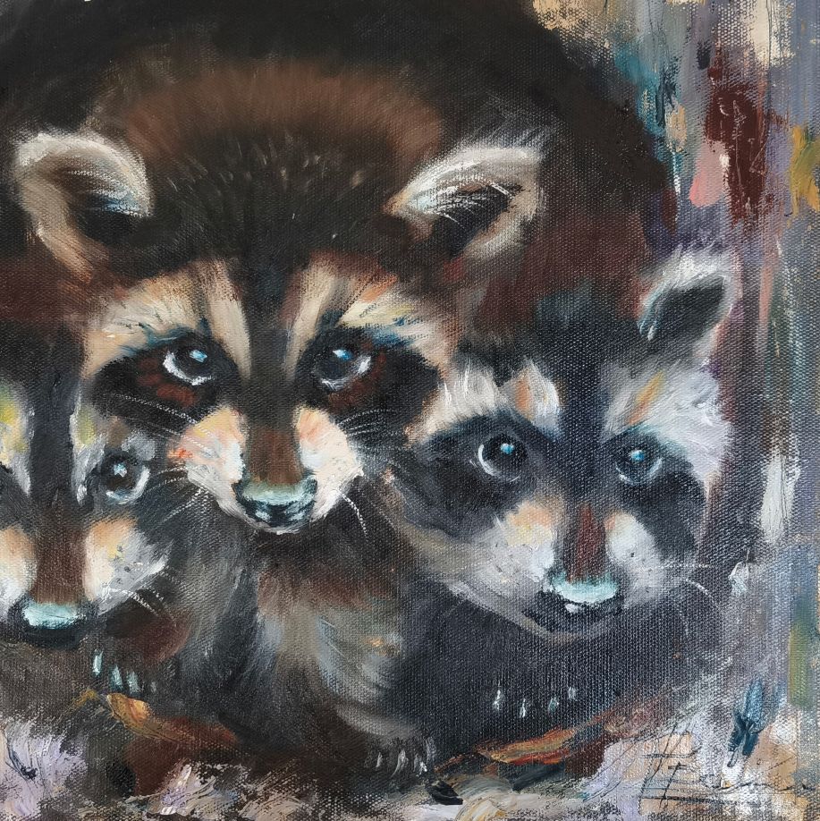 Raccoon Family - Image 3