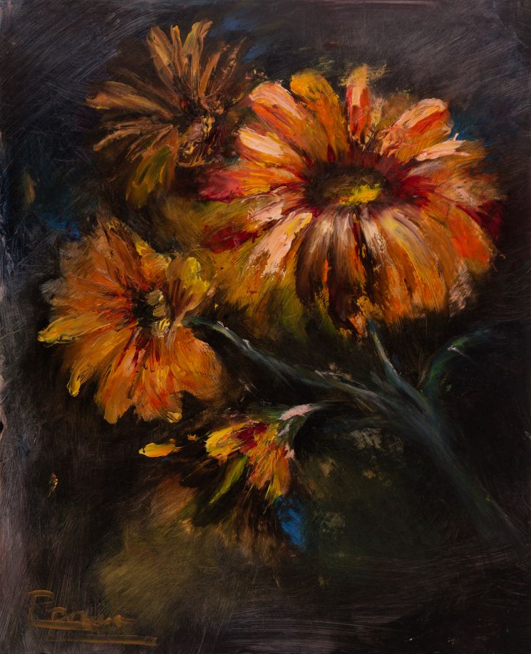 Embers Of Bloom