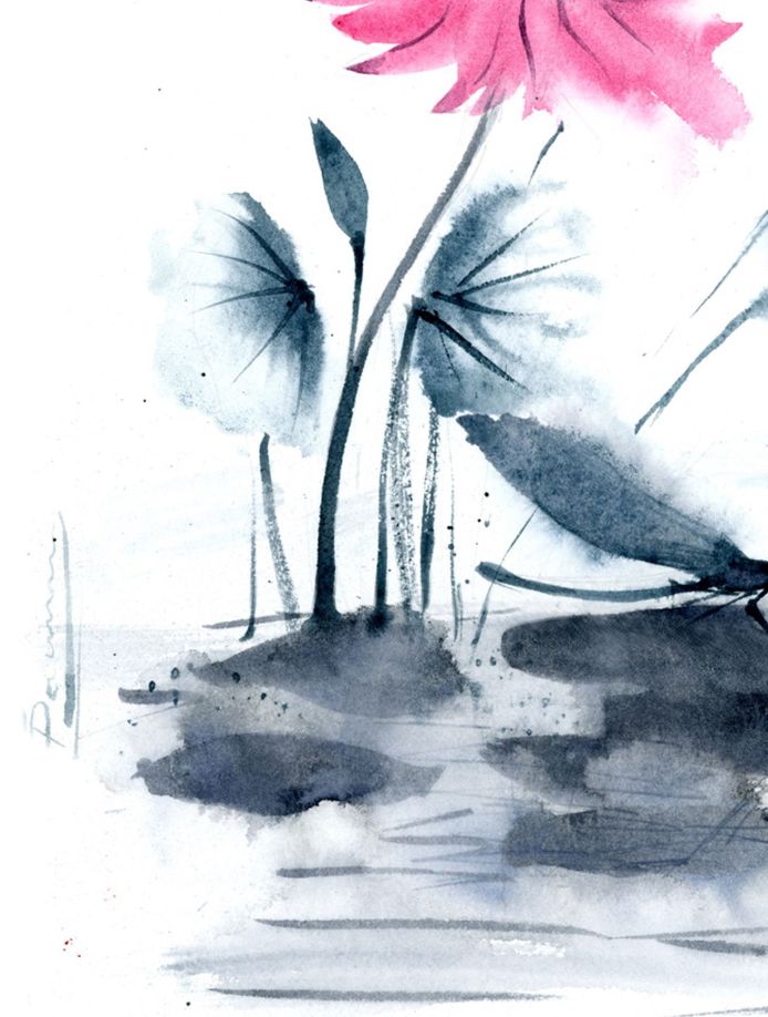 Dragonfly and Lotus - Image 5