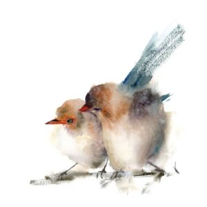 Love birds wren watercolor print by Olga Tchefranov