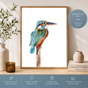 Kingfisher Art Print