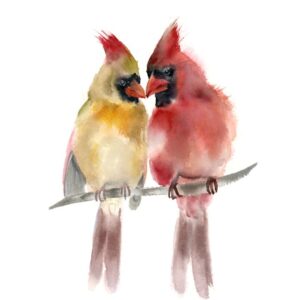 Two Cardinals Print