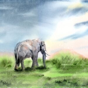 Elephant in the savannah original watercolor painting by Olga Tchefranov
