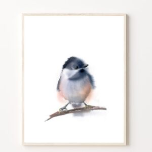 Chickadee Art Print