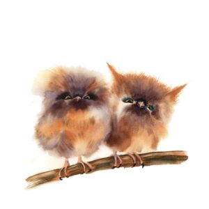 Baby Owl Art Print