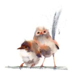 Cute Wren Bird Print