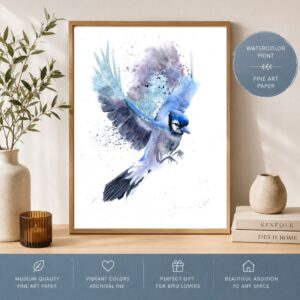 Blue Jay Print