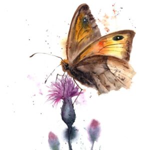 Original watercolor painting of a butterfly with amber wings resting on a purple thistle flower