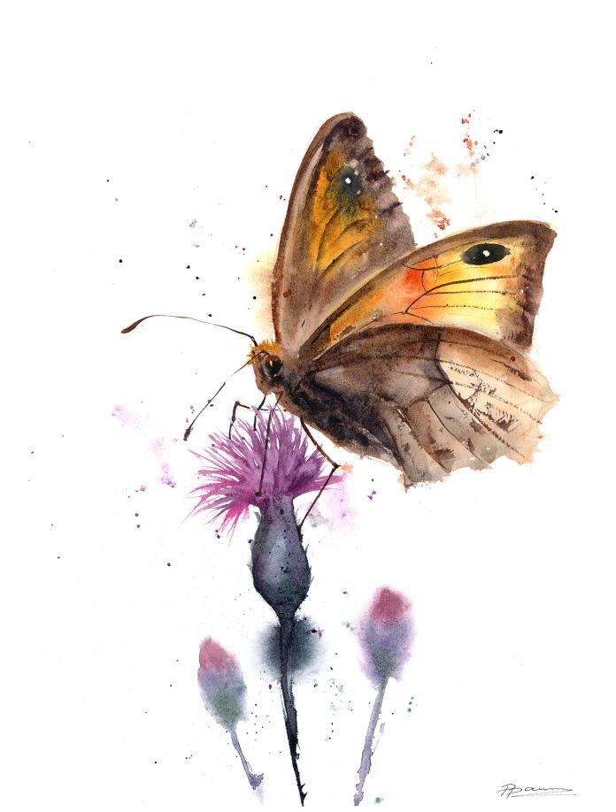 Original watercolor painting of a butterfly with amber wings resting on a purple thistle flower