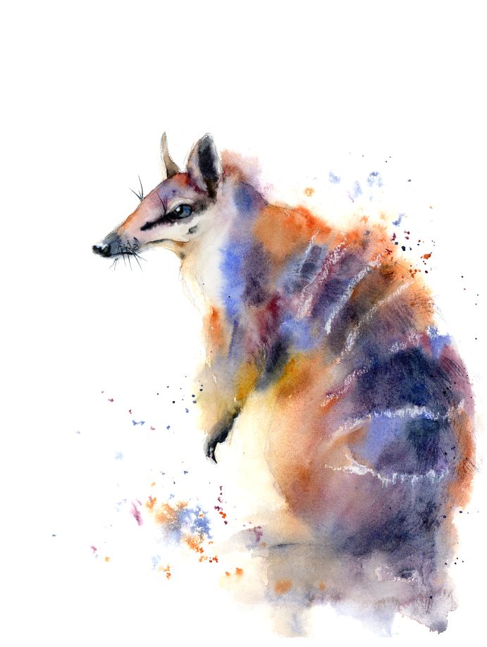 Original numbat watercolor painting in ochre, violet and blue tones