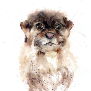 Curious otter portrait in original watercolor