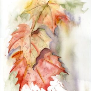 Original watercolor painting of autumn maple leaves in warm red, coral, and golden tones