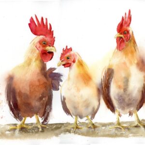 Original watercolor painting of three expressive chickens standing together