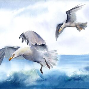Birds