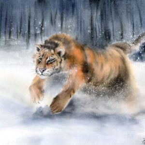 Tiger in snow original watercolor painting by Olga Tchefranov