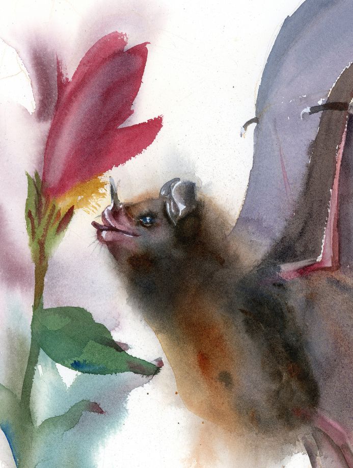 Nectar's Call - Image 4