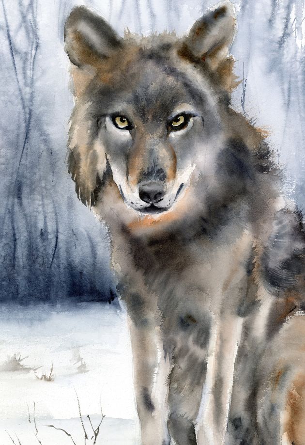 Winter Watcher - Image 5