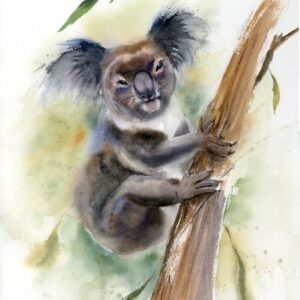 Original watercolor painting of a koala clinging to a eucalyptus trunk in the morning mist