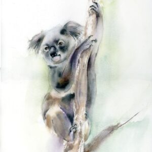 Koala climber original watercolor painting by Olga Tchefranov