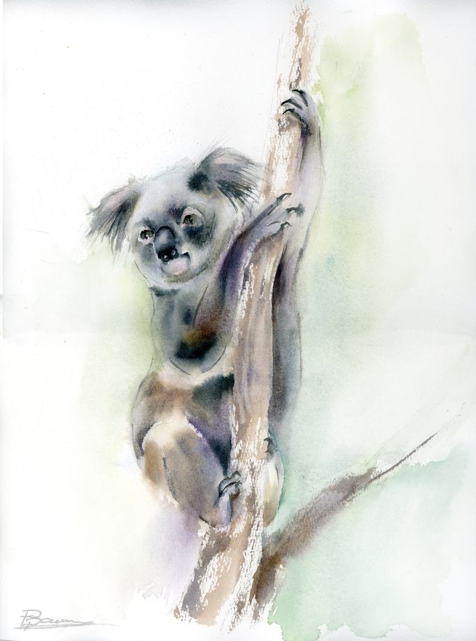 Koala climber original watercolor painting by Olga Tchefranov