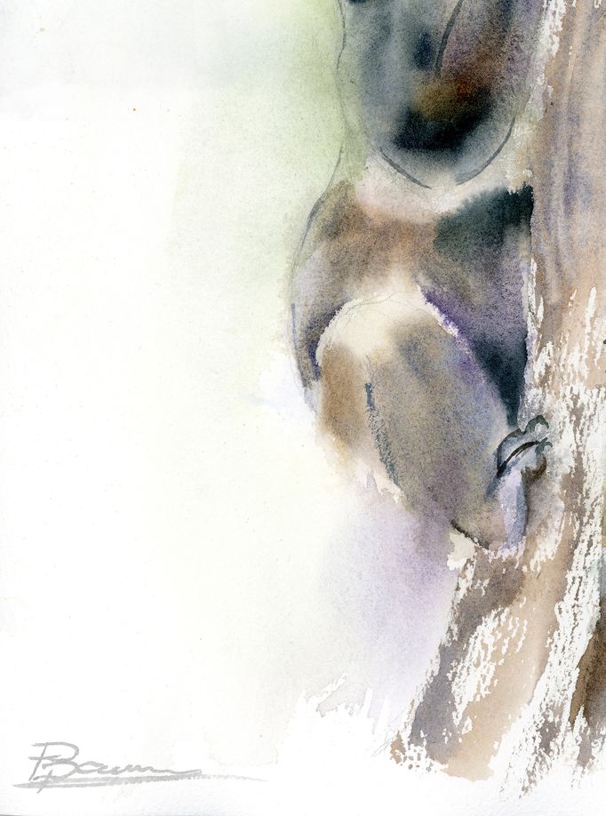 Koala Climber - Image 5