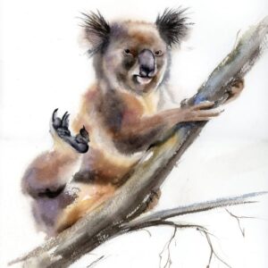 Original watercolor painting of a playful koala perched on a tree branch with one paw raised