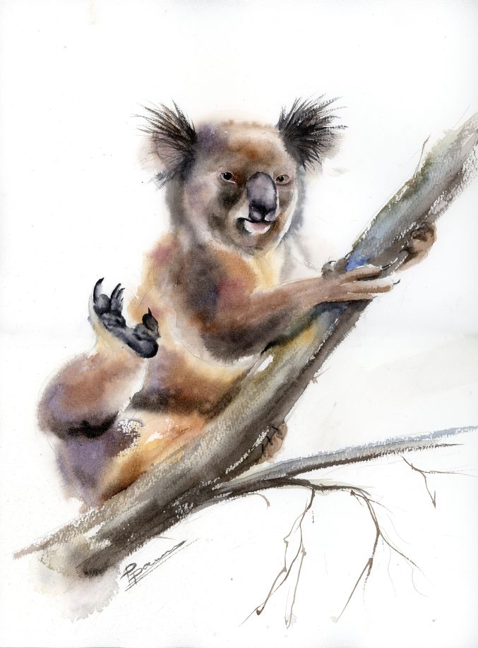 Original watercolor painting of a playful koala perched on a tree branch with one paw raised