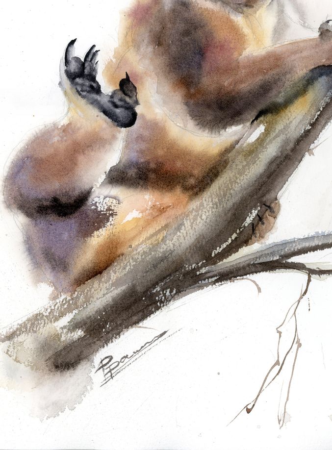 Playful Koala - Image 5