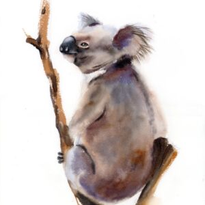 Original watercolor painting of a gentle koala resting on a eucalyptus branch