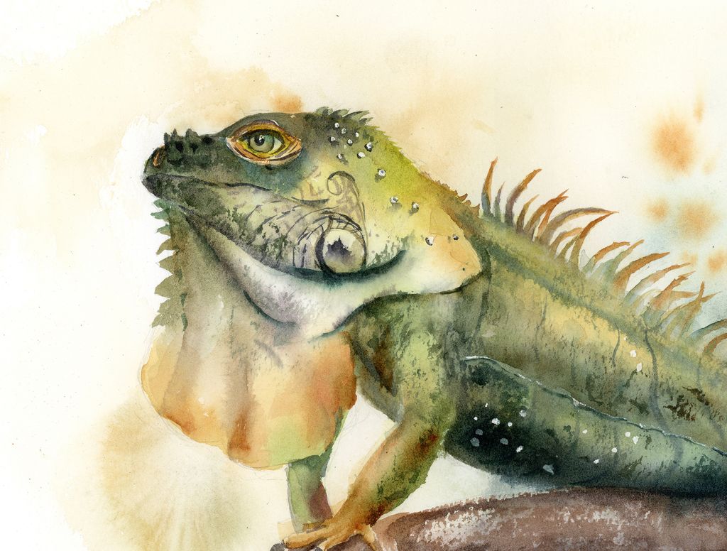 Emerald Iguana - Image 2