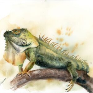 Emerald Iguana original watercolor painting by Olga Tchefranov