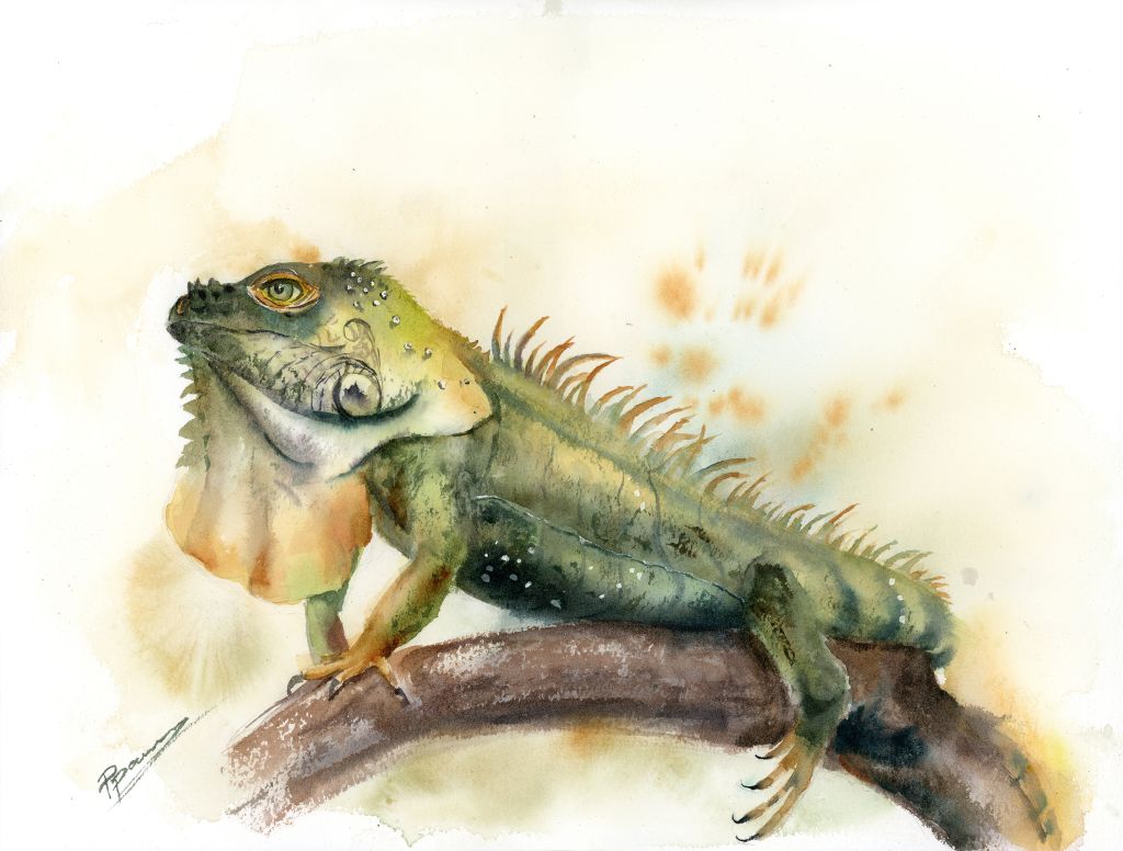 Emerald Iguana original watercolor painting by Olga Tchefranov