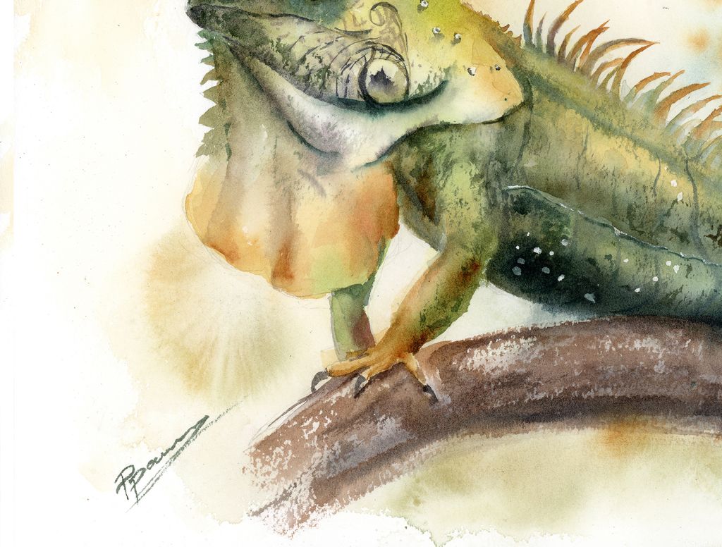 Emerald Iguana - Image 3