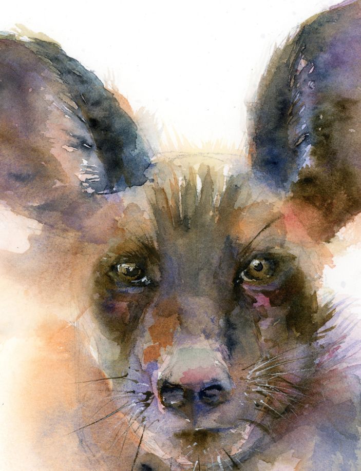 Hyena portrait - Image 4