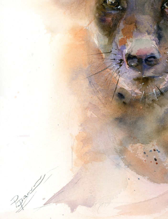 Hyena portrait - Image 5