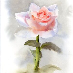 Original watercolor painting of a single rose, inspired by a flower given as a gift