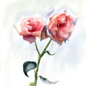 Two roses, original watercolor painting