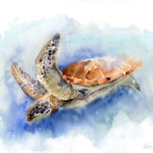 Original watercolor painting of a sea turtle swimming underwater