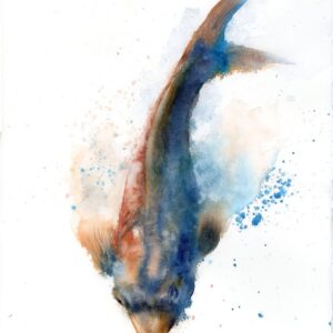 Original watercolor painting of a Japanese koi fish in deep blue and warm orange tones