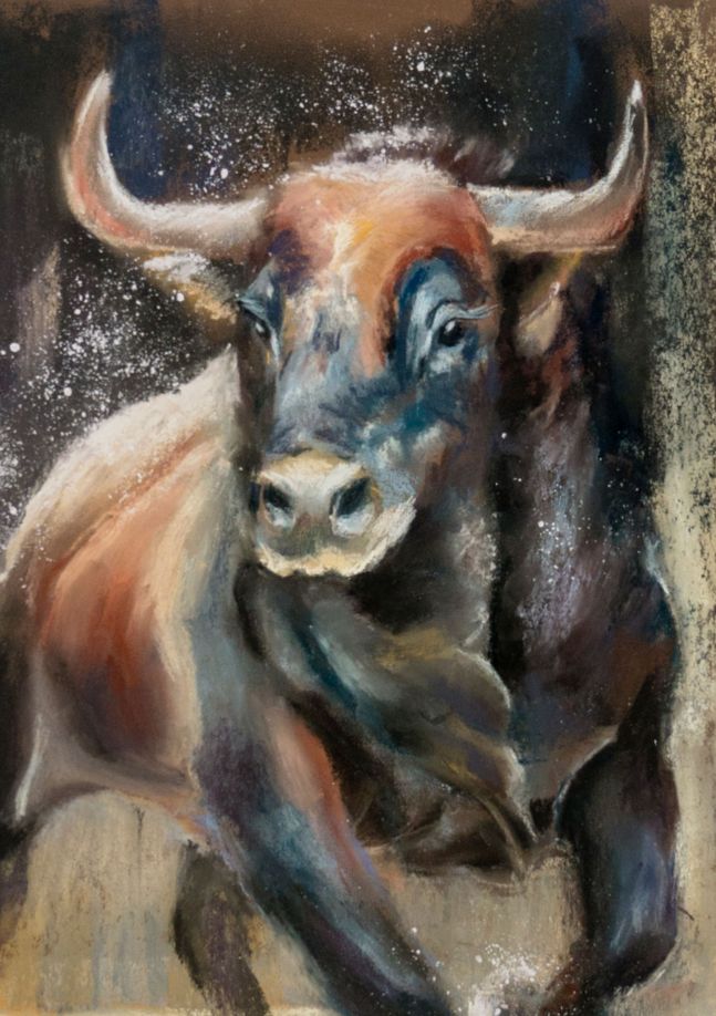 The bull (self-confidence) - Image 3