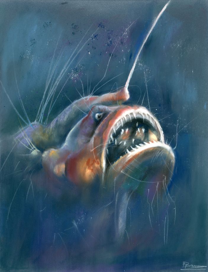 Anglerfish with sharp teeth and glowing lure, original pastel drawing