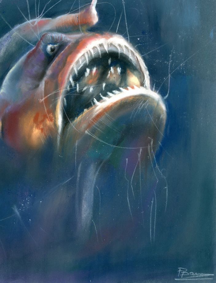 Anglerfish - Image 5