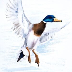 Duck landing on water, original watercolor painting