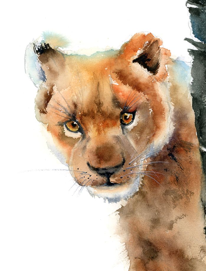 Baby Lion - Image 6