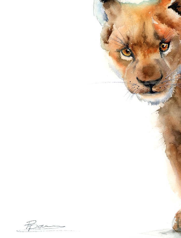 Baby Lion - Image 7